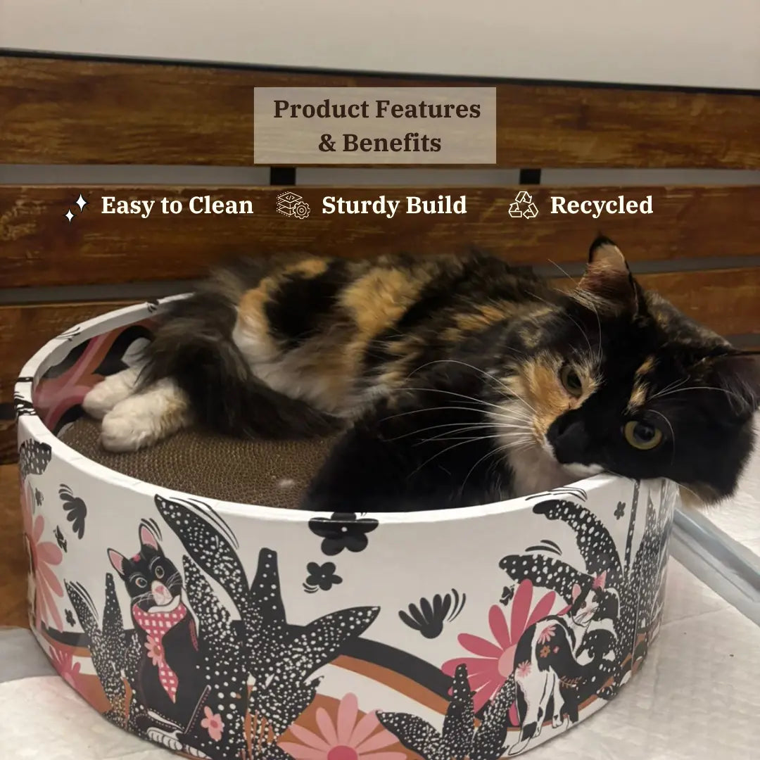The Bella Scratch Bed - Groovy Cats