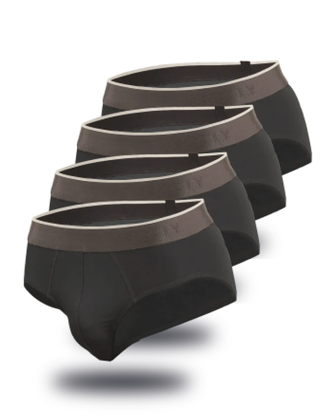 Bamboo Briefs 4 Pack