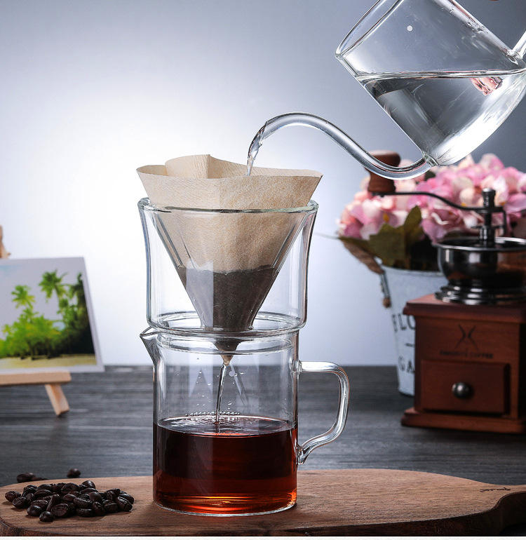 The Bean Co Roasters Double-Walled Glass Coffee Dripper with 450ml Glass Carafe + V60 Paper Coffee Filters (50 pcs) | Barista-Style Home Brewing Combo Pack
