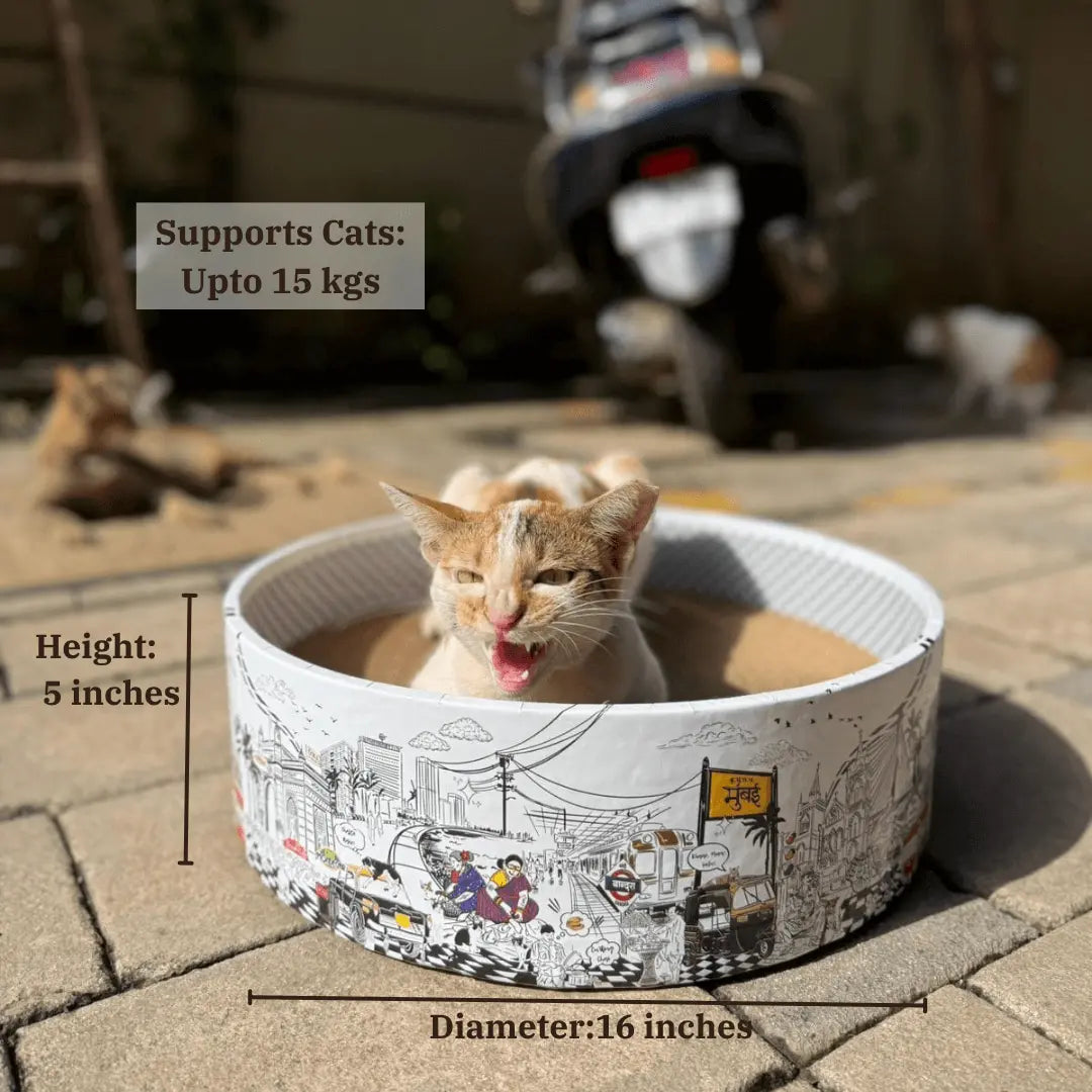 The Bella Scratch Bed - Mumbai Meri Jaan