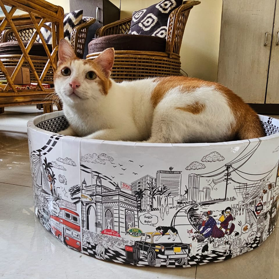 The Bella Scratch Bed - Mumbai Meri Jaan
