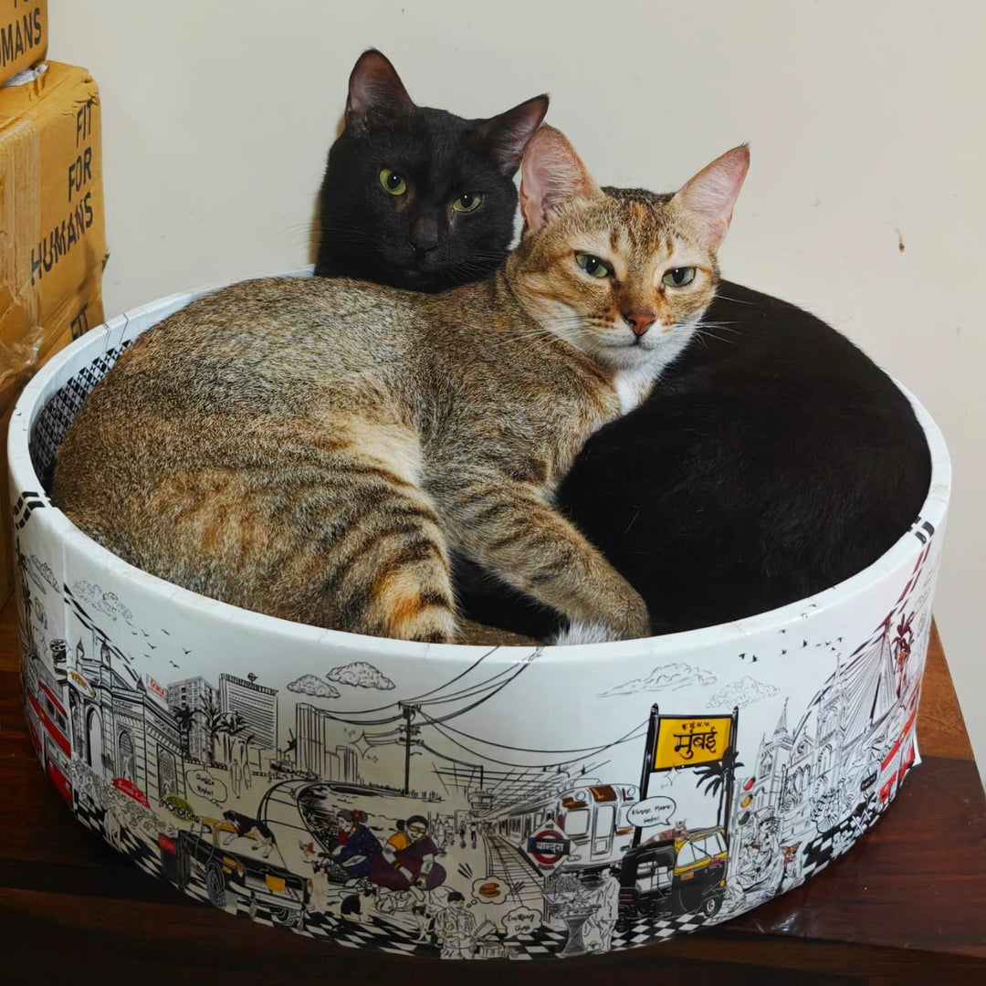 The Bella Scratch Bed - Mumbai Meri Jaan