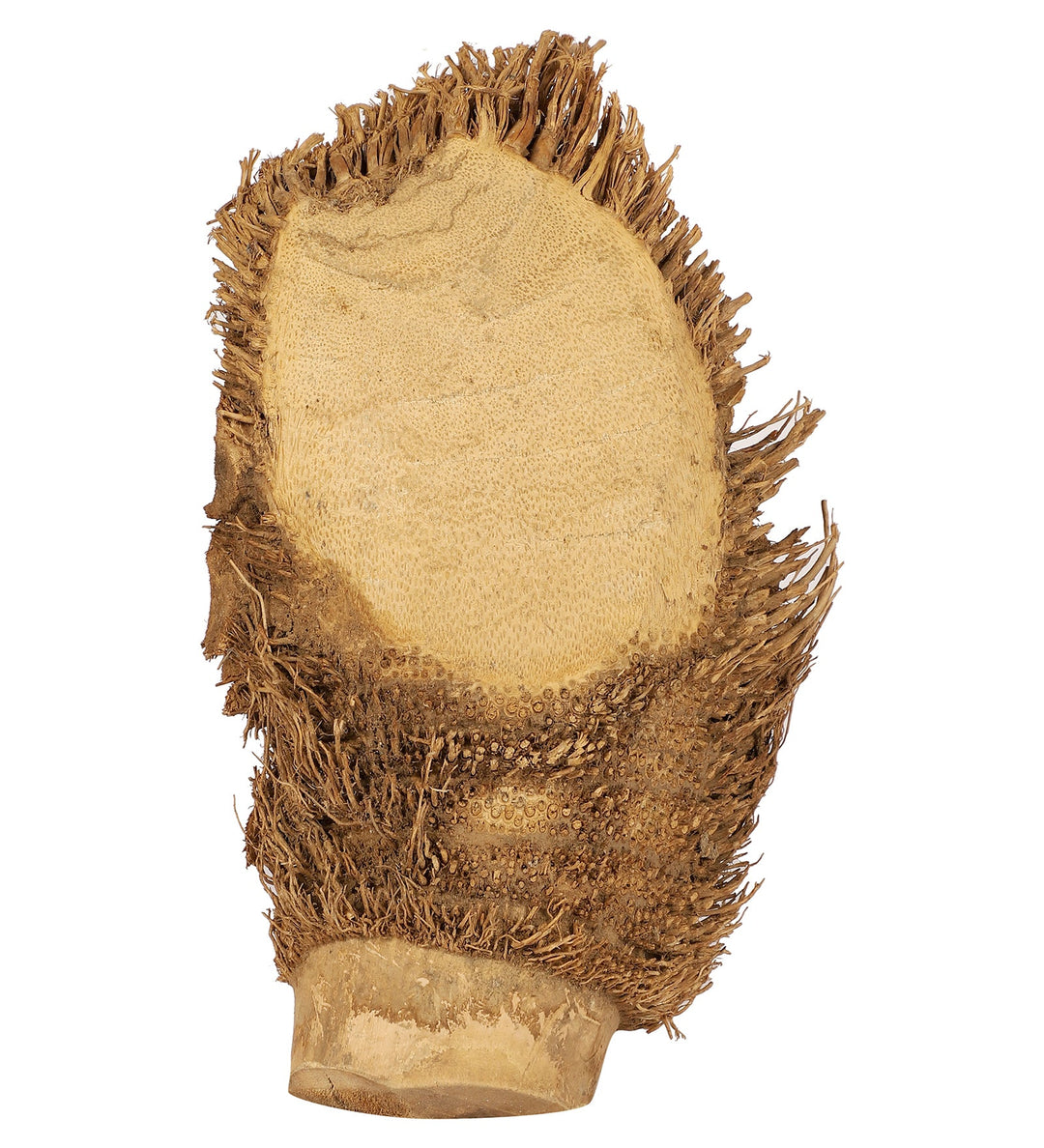 Hand-carved Bamboo Root Idol - Buddha