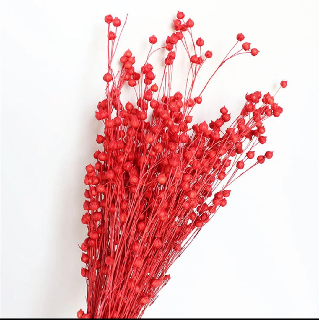 Red flax dried flower - https://artecasa.in/