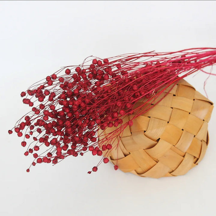 Red flax dried flower - https://artecasa.in/