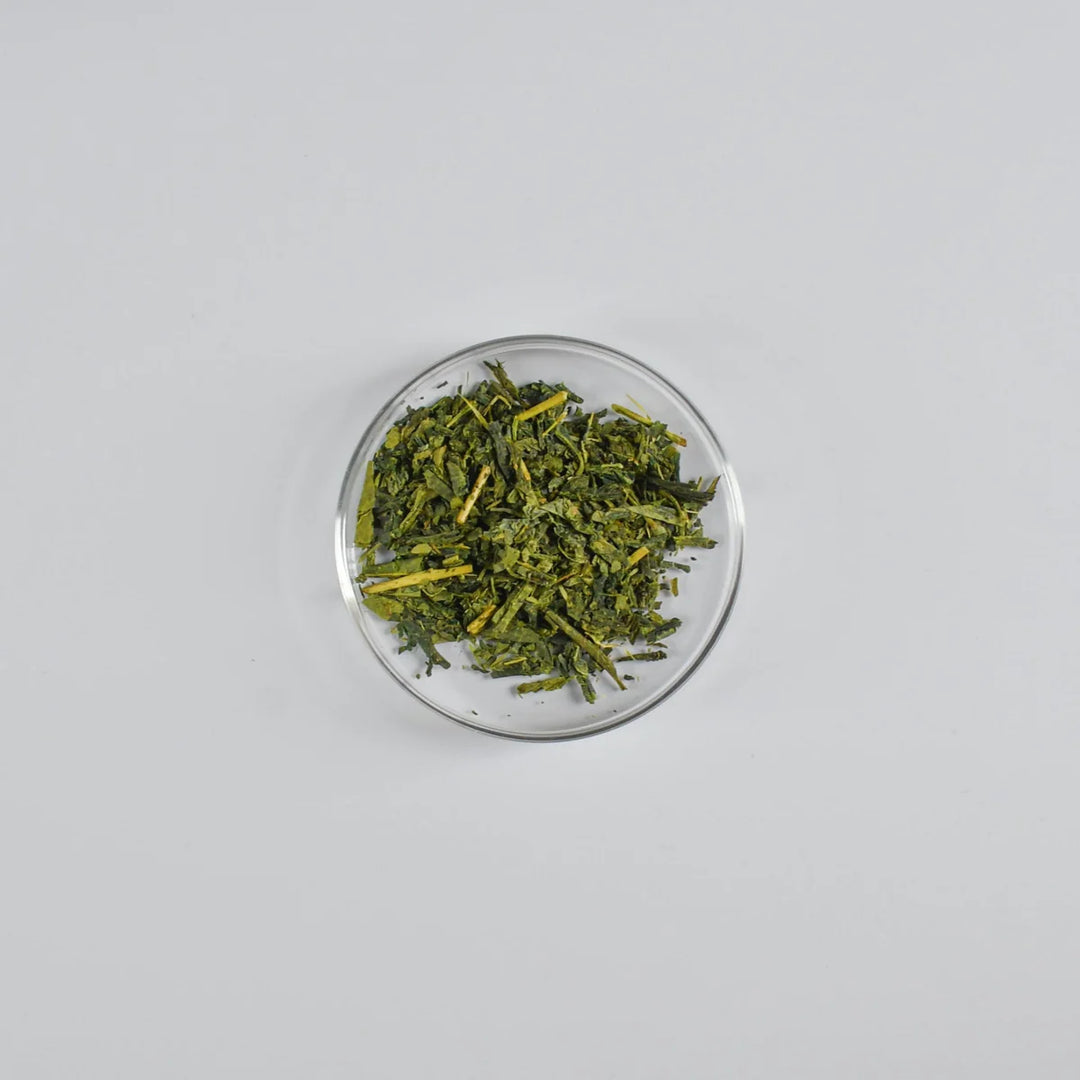 Mezame Sencha Japanese Green Tea