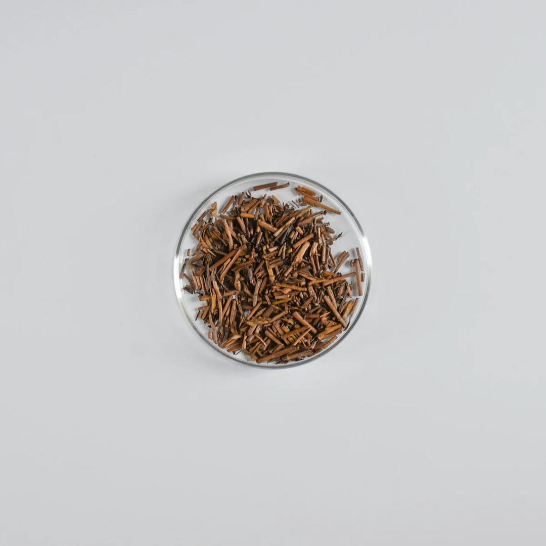 Mezame Hojicha Japanese Roasted Green Tea | Loose Leaf