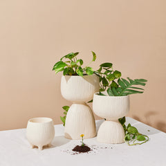 Muun Home Aden Organic Planter