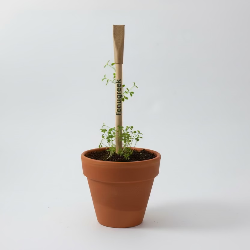 Plantable Colour Seed pens