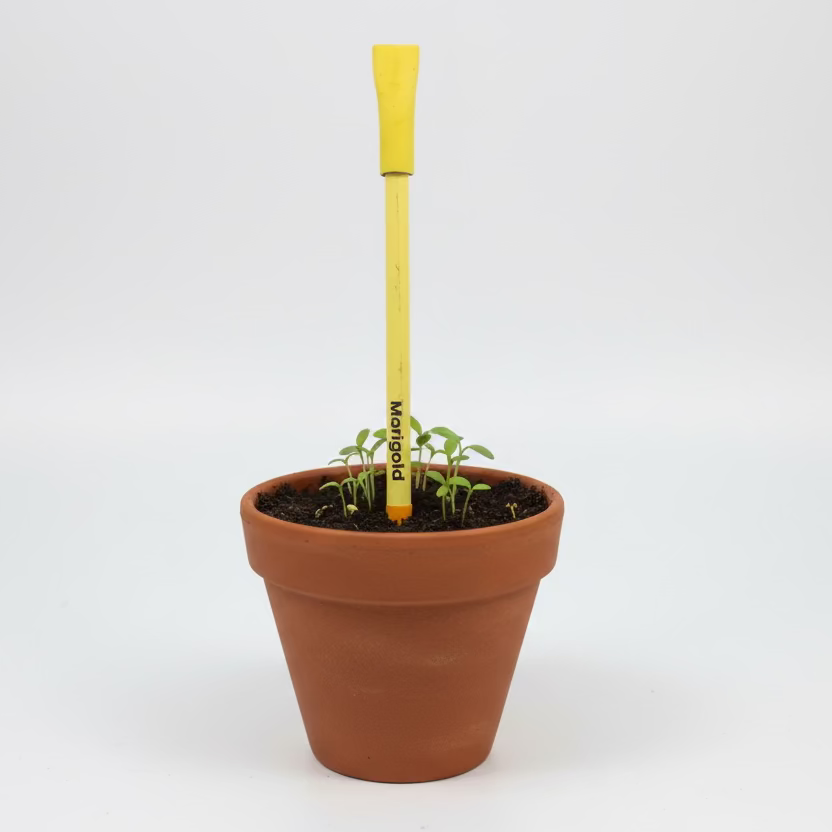 Plantable Seed pens - Premium