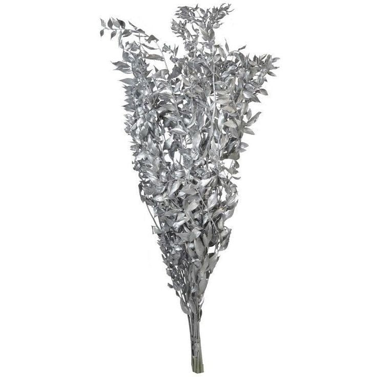 Silver Ruscus Dried Flower Bunch Décor