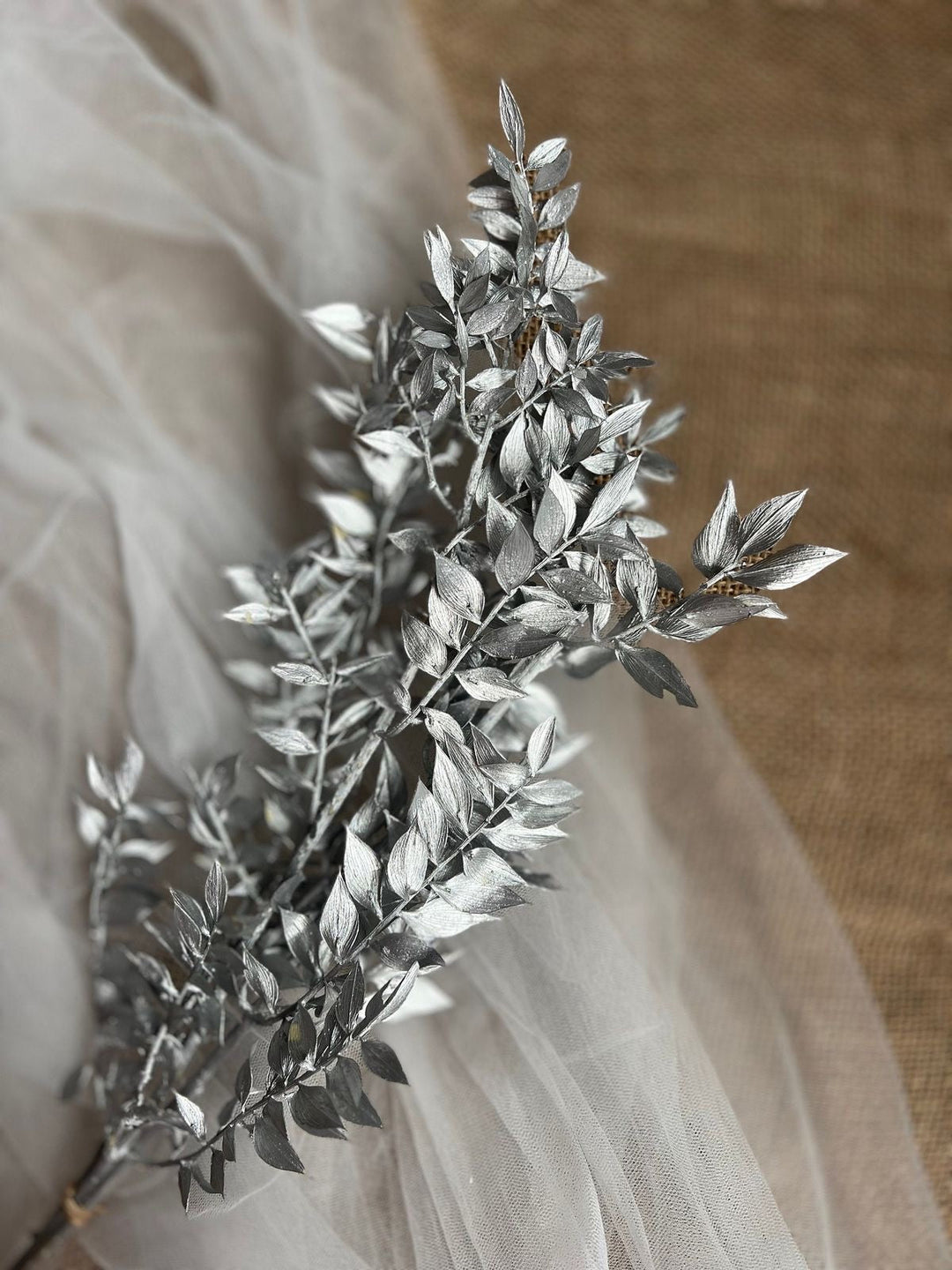 Silver Ruscus Dried Flower Bunch Décor