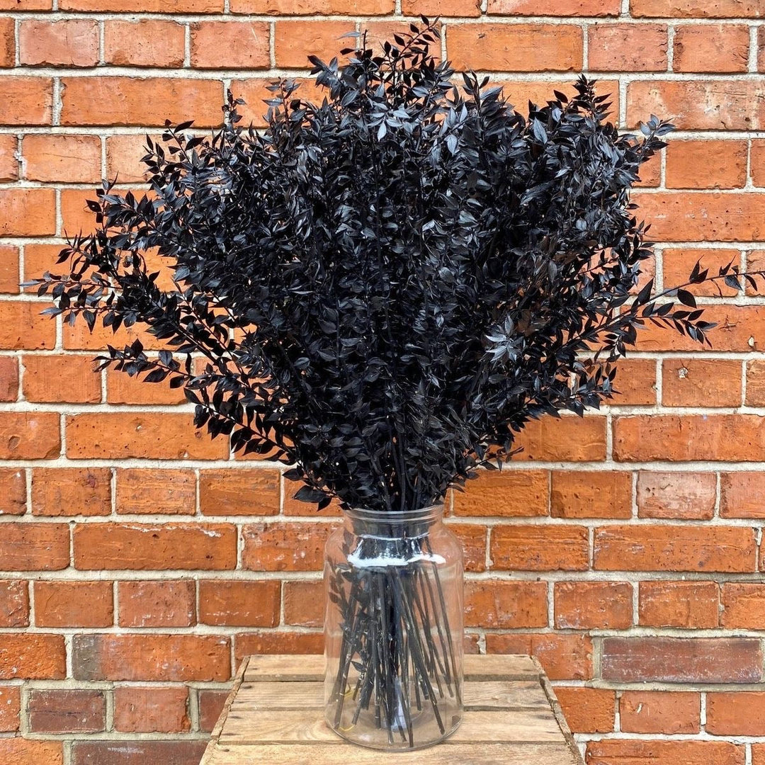Black Ruscus Dried Flower Bunch Décor - https://artecasa.in/