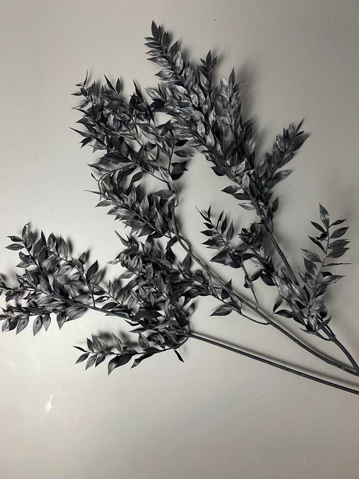Black Ruscus Dried Flower Bunch Décor - https://artecasa.in/