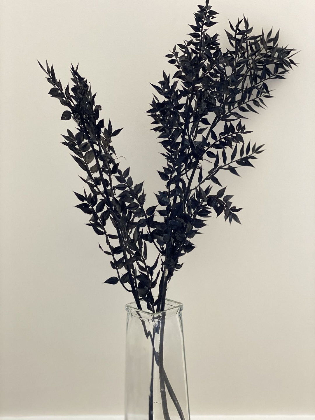 Black Ruscus Dried Flower Bunch Décor - https://artecasa.in/