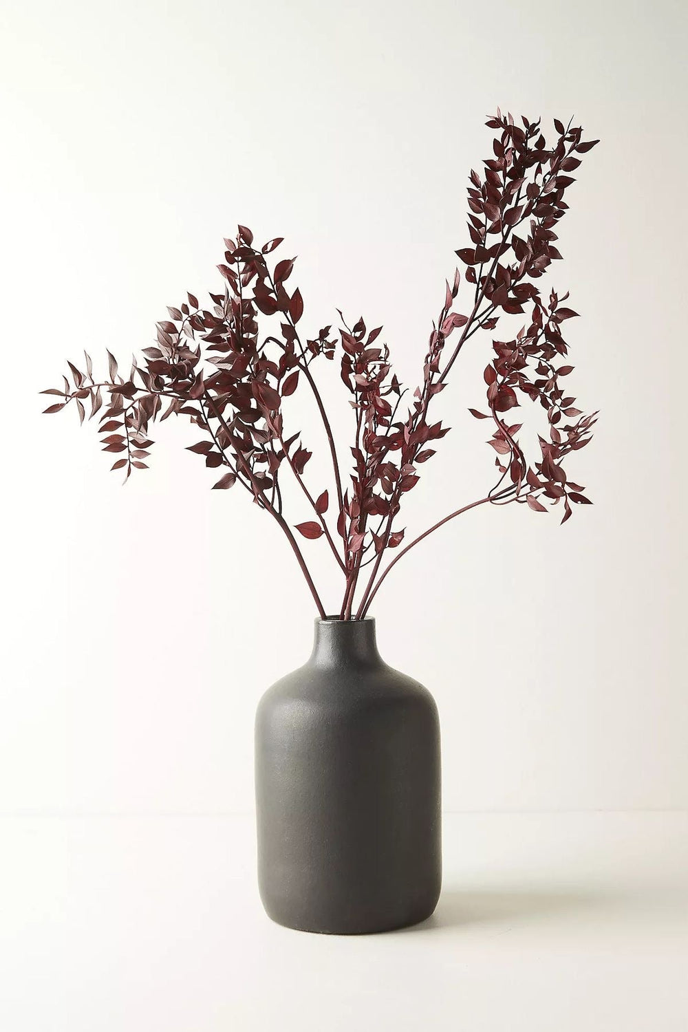 Ruscus Brown Dried Flower Bunch – Natural Décor
