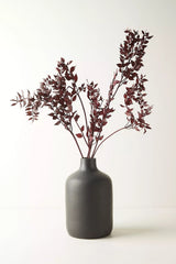 Ruscus Brown Dried Flower Bunch – Natural Décor