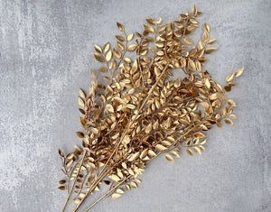 Ruscus-Golden - https://artecasa.in/