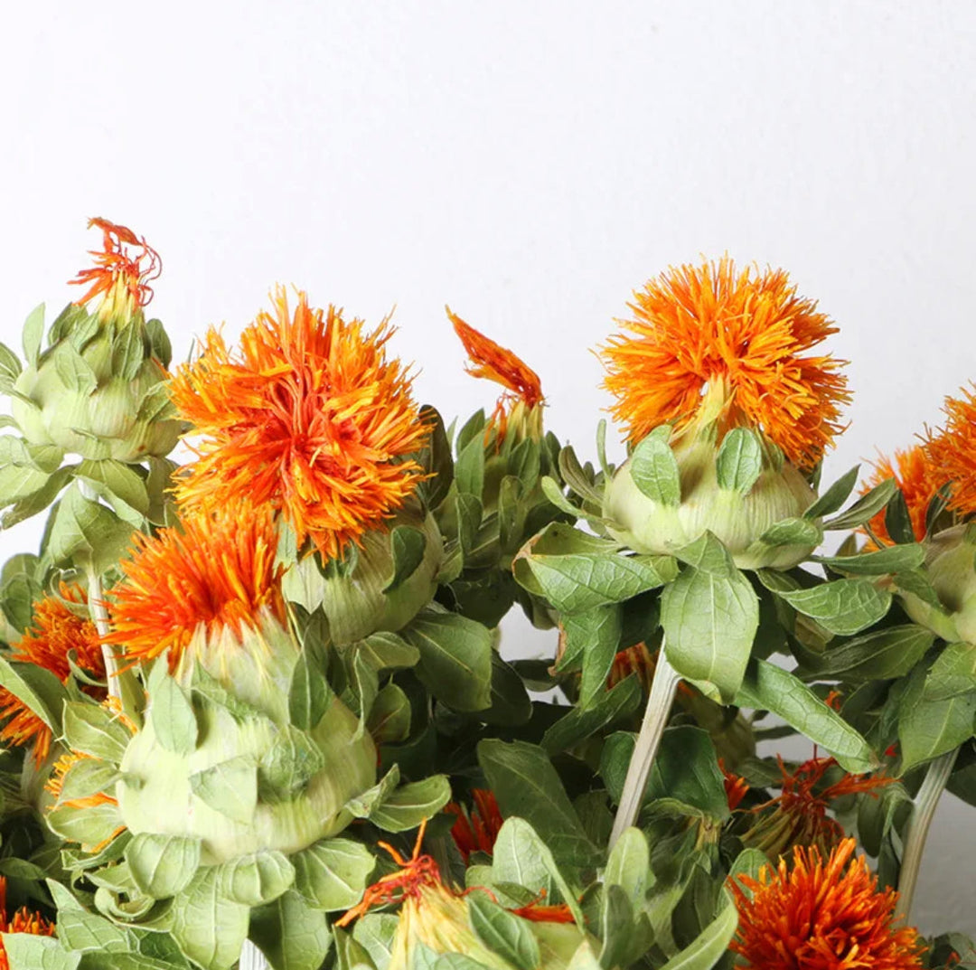 Dried safflower - https://artecasa.in/