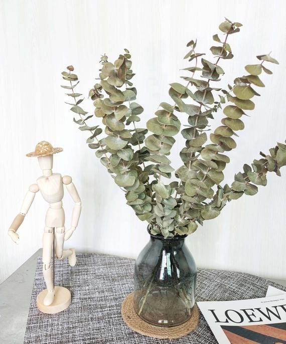 Light Green Eucalyptus