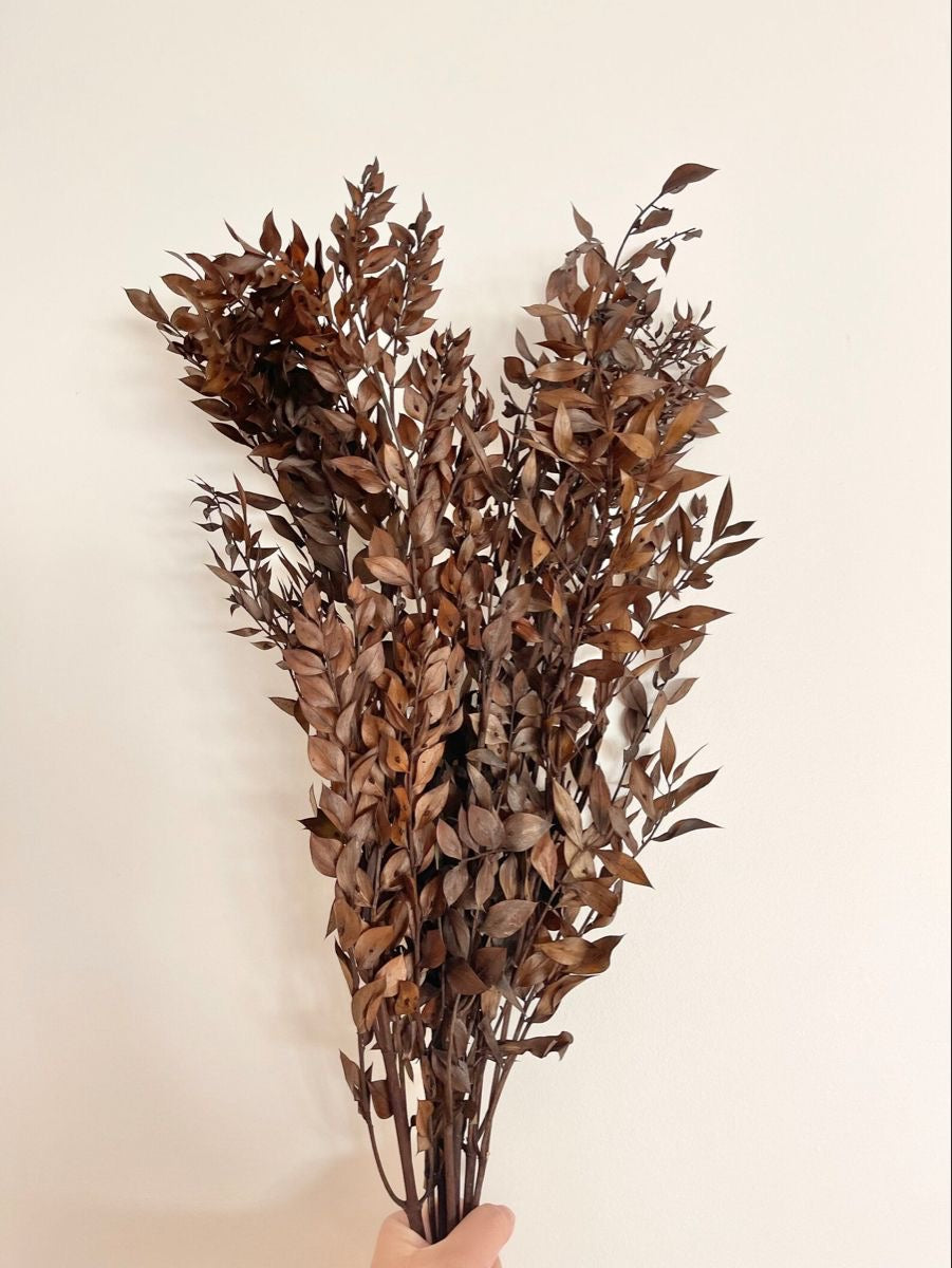 Ruscus Brown Dried Flower Bunch – Natural Décor - https://artecasa.in/