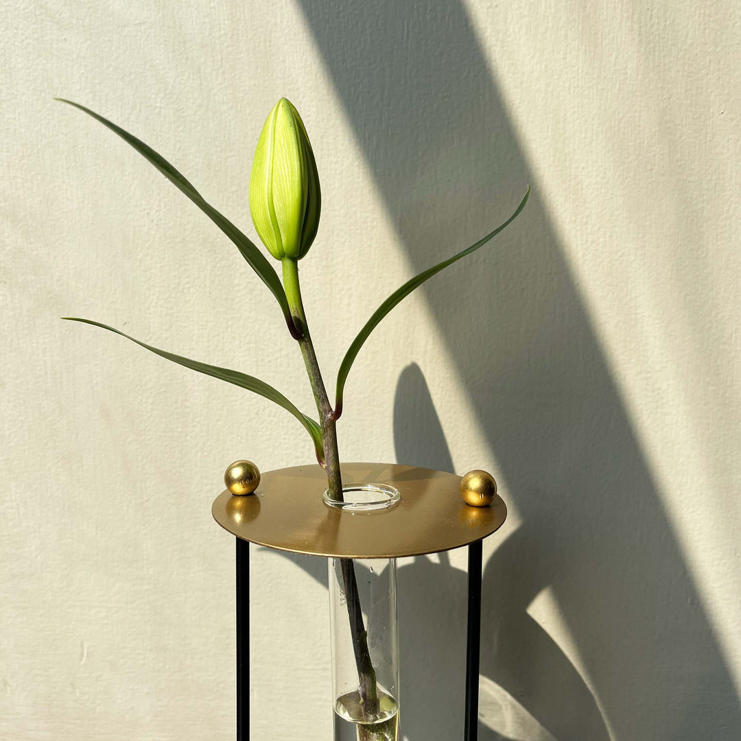 Muun Home Gold Budvase with Test Tube