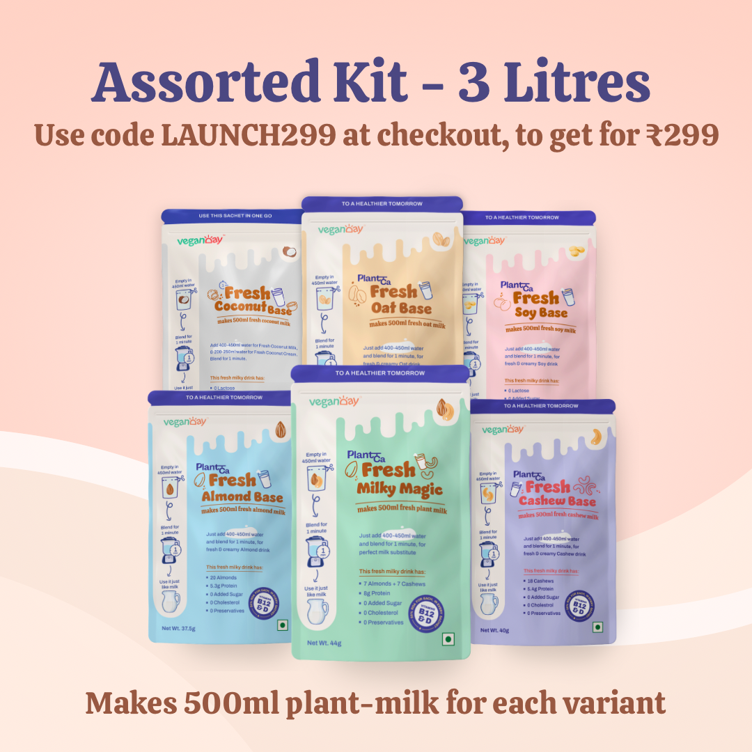 Vegan Day Plant Milk Starter Kit | Assorted Bases