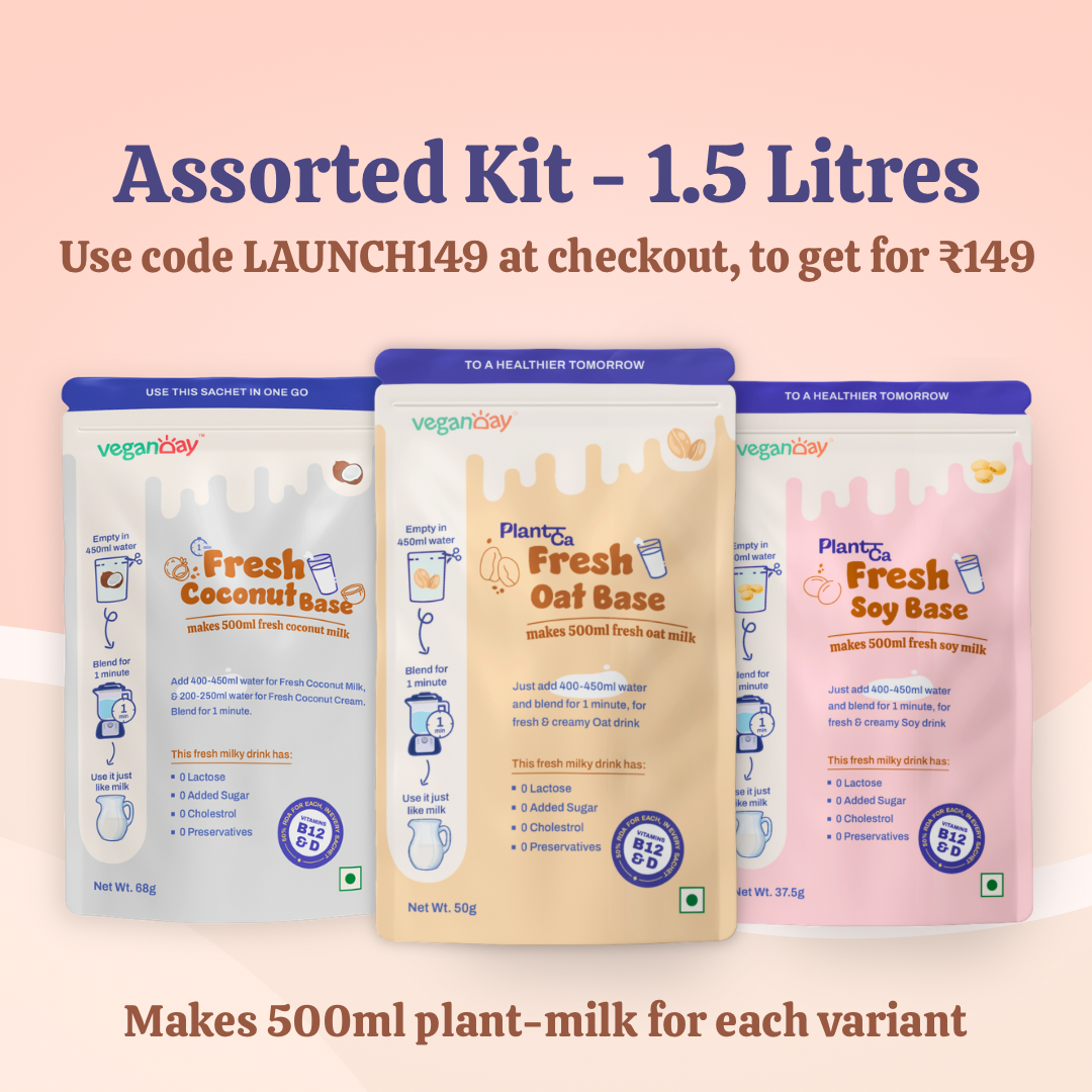 Vegan Day Plant Milk Starter Kit | Assorted Bases