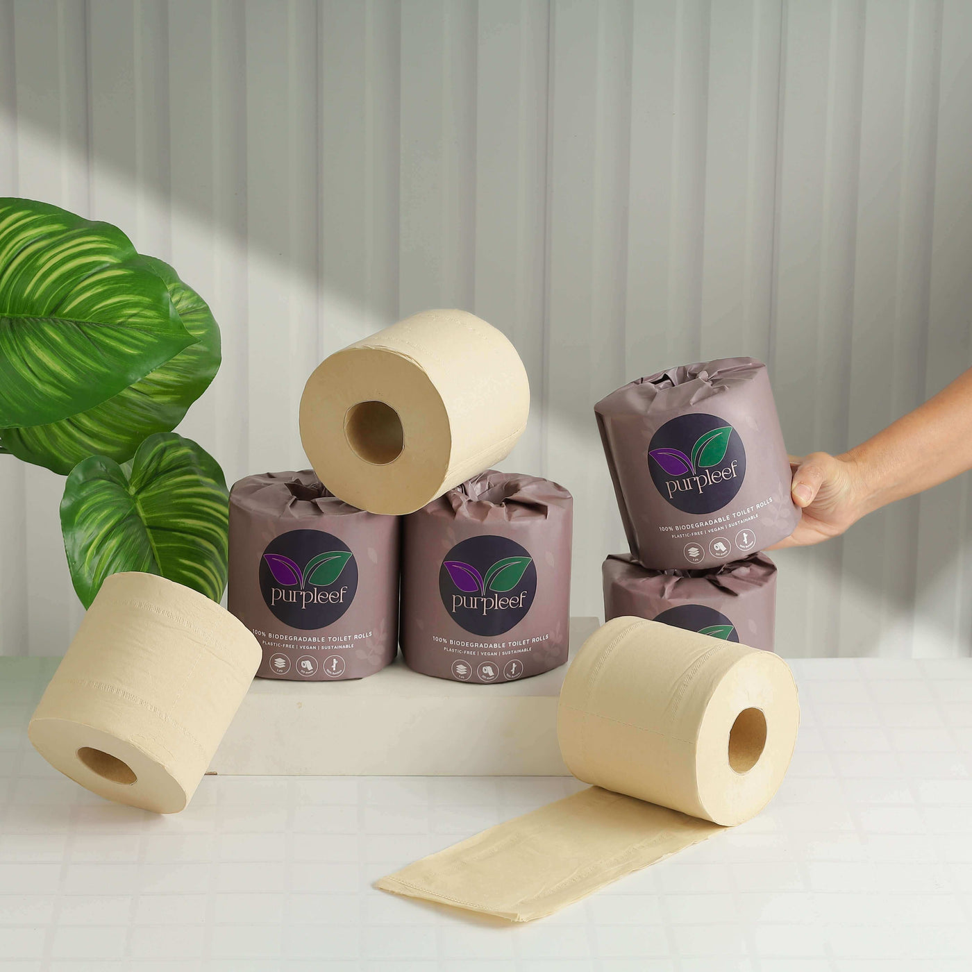 Purpleef Bamboo Toilet Rolls | TrueFiber + FREE Facial tissue