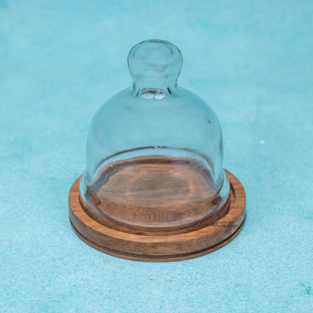 Ireka Homes Nibble Nest Acacia Wood Cake Stand with Glass Dome – Handmade, Sustainable, Foodsafe – Perfect for Mini Cakes, Fruits, and Snacks