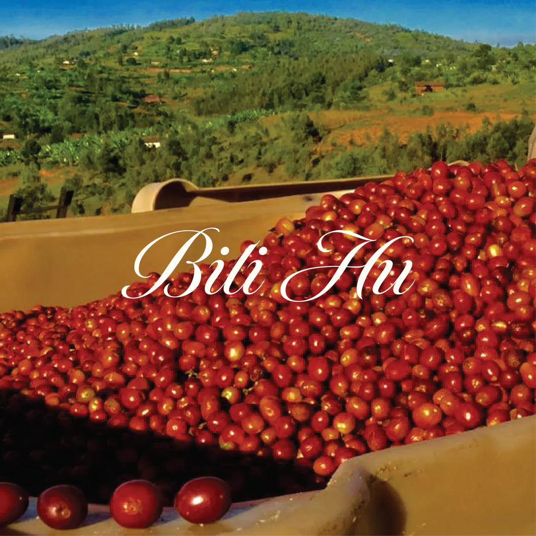 Bili Hu Anaerobic Arabica Naturals