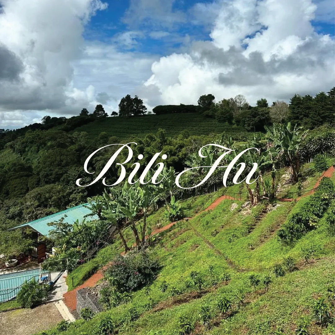 Bili Hu Balur Estate