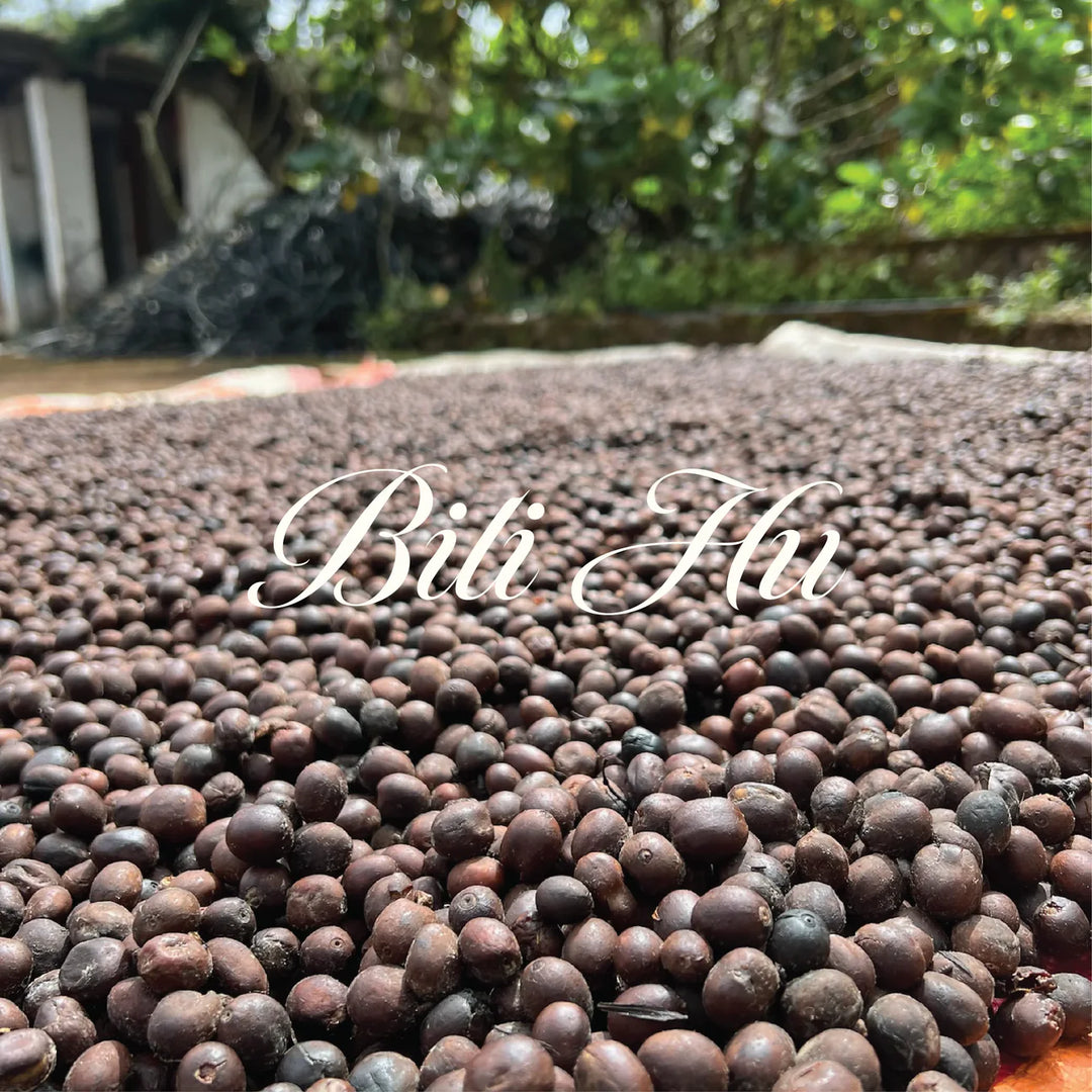 Bili Hu Colombian Decaf Coffee