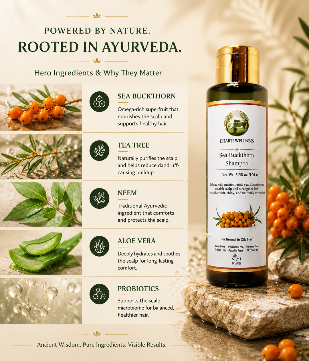 Sea Buckthorn Shampoo | Improves Scalp health | De-Tangle | Conditioning | Sulphate Free | Paraben - Free