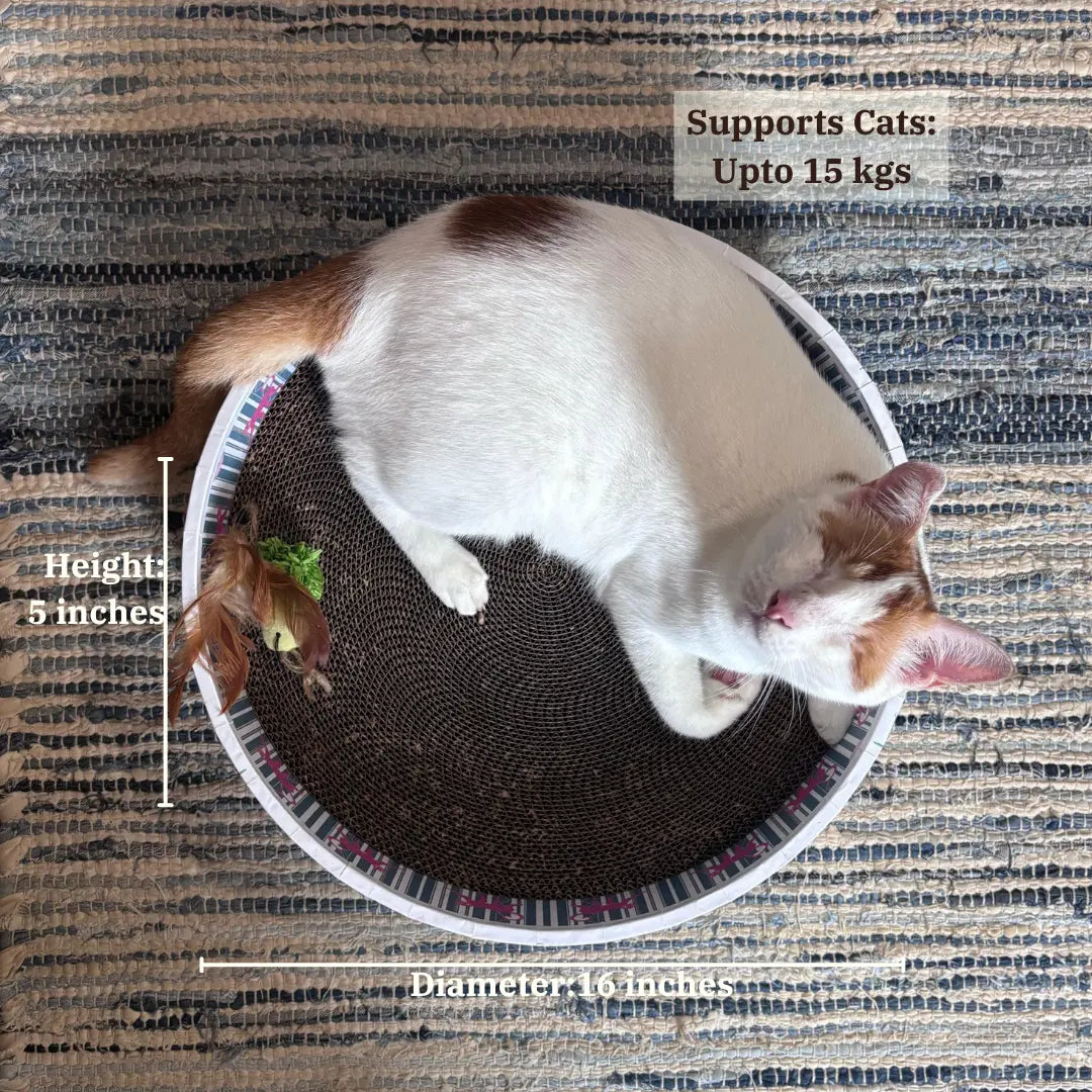 The Bella Scratch Bed - Lost in the Jungle