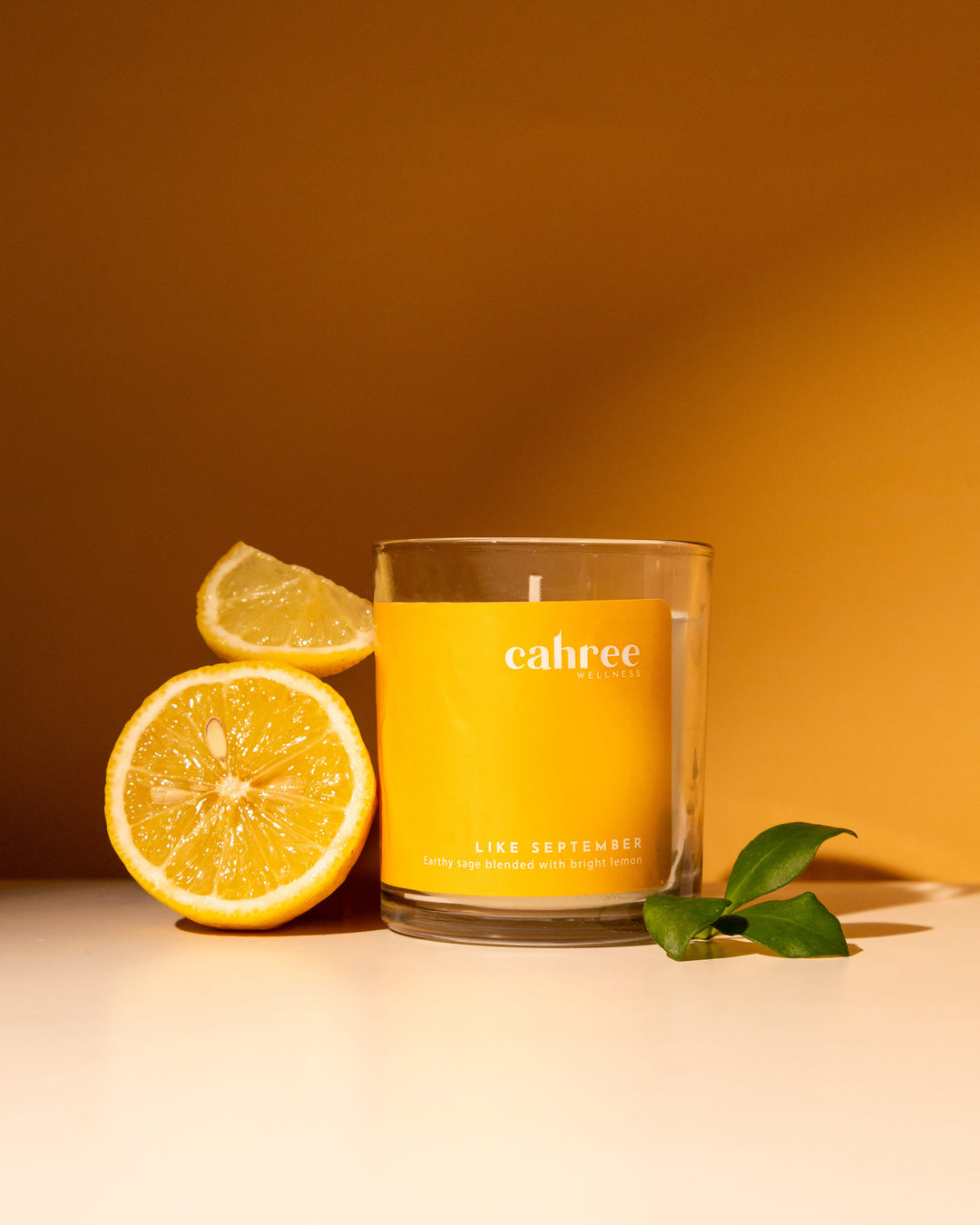 Cahree Wellness The Like September Luxury Soy Wax Candle