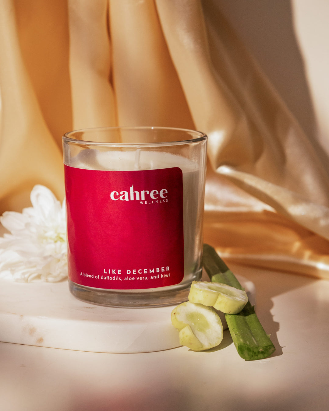 Cahree Wellness The Like December Luxury Soy Wax Candle