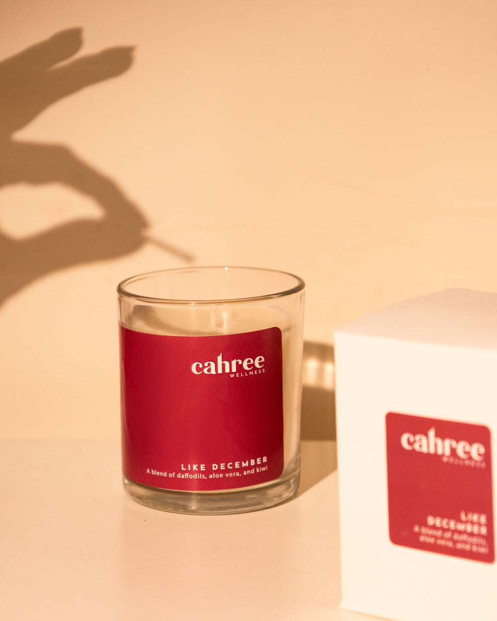 Cahree Wellness The Like December Luxury Soy Wax Candle