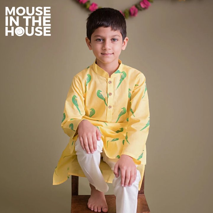 Mouse In The House Tiya A Parrot- Ethnic Wear Boys