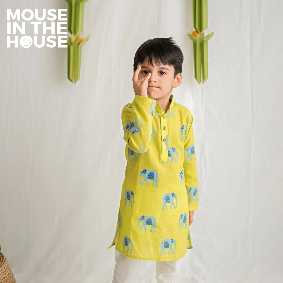 Mouse In The House Rupa The Elephant - Ethnic Wear Boys