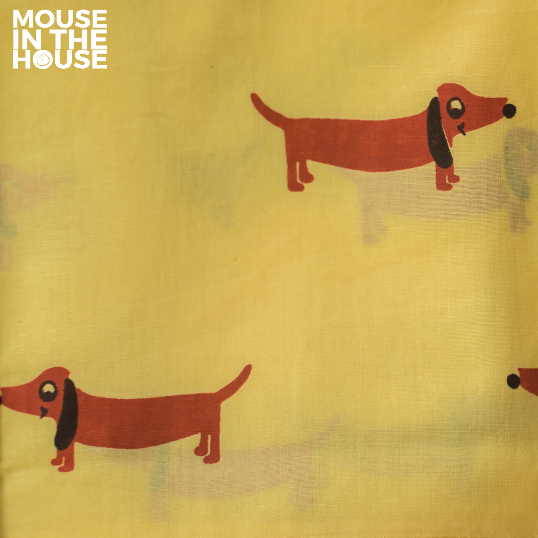 Mouse In The House A Dog&