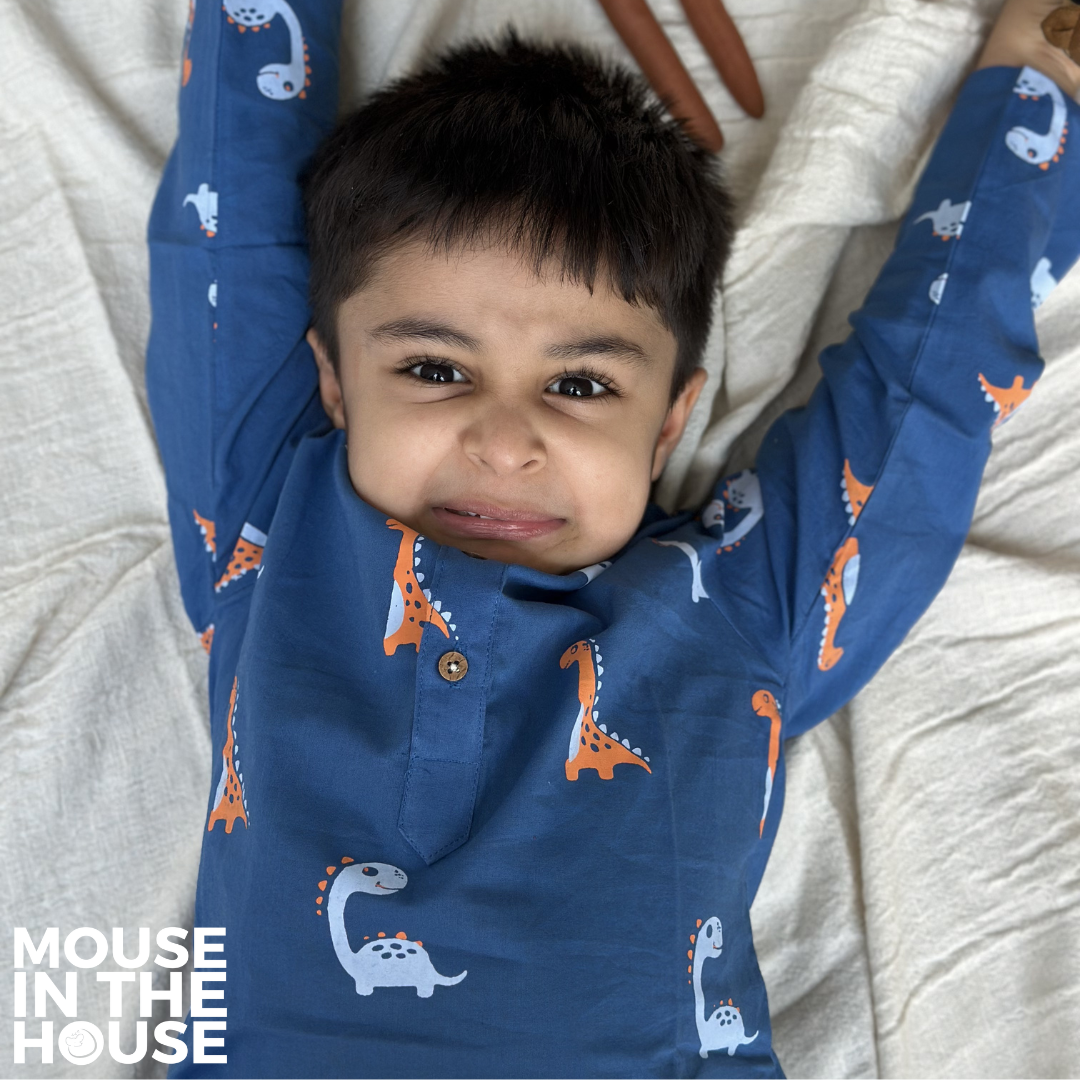 Mouse In The House Dino Friends (Blue)- Unisex Nightdress
