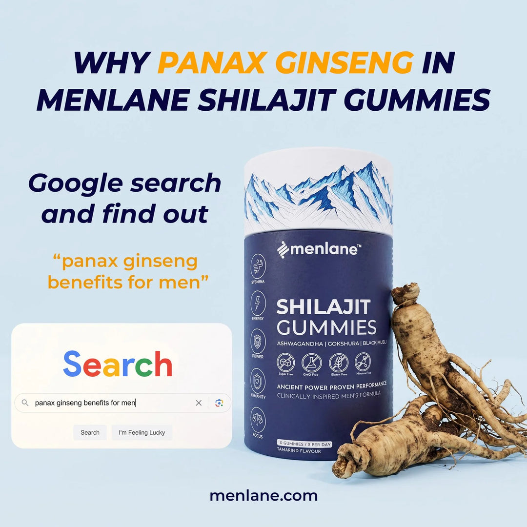 Menlane Shilajit Gummies-Natural Support for Energy, Stamina, Strength & Daily Vitality