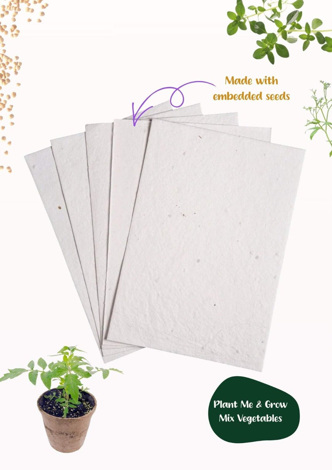 Mixed Vegetable Seed Paper