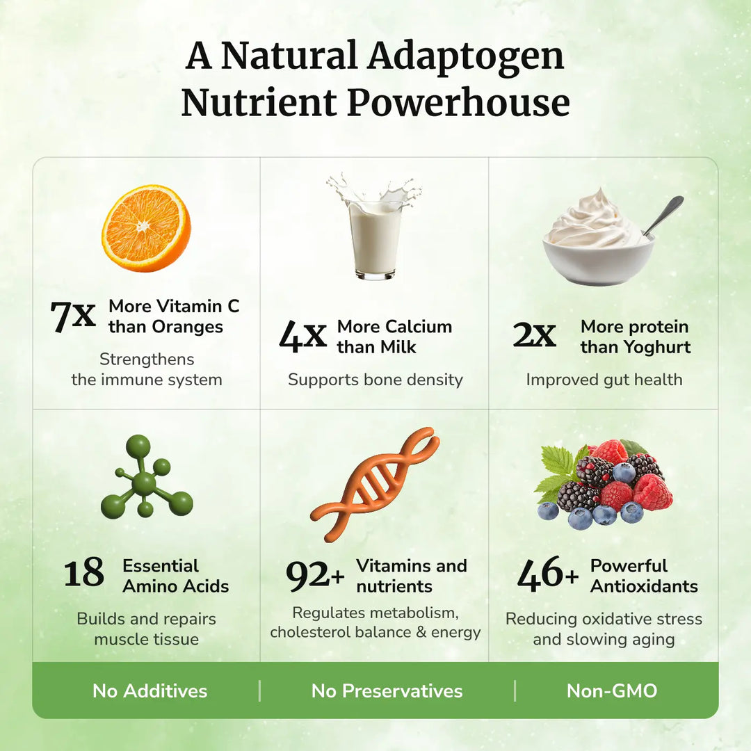 Moringa Veg Capsules