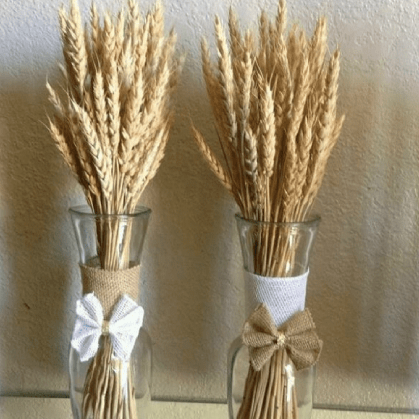 Wheat grass-set of 30 stems - https://artecasa.in/