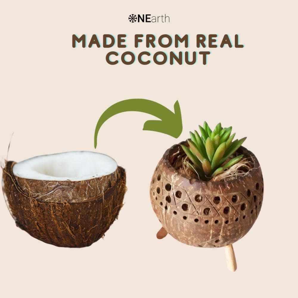 ONEarth Planter / Tea Light Candle Holder - Coconut Shell