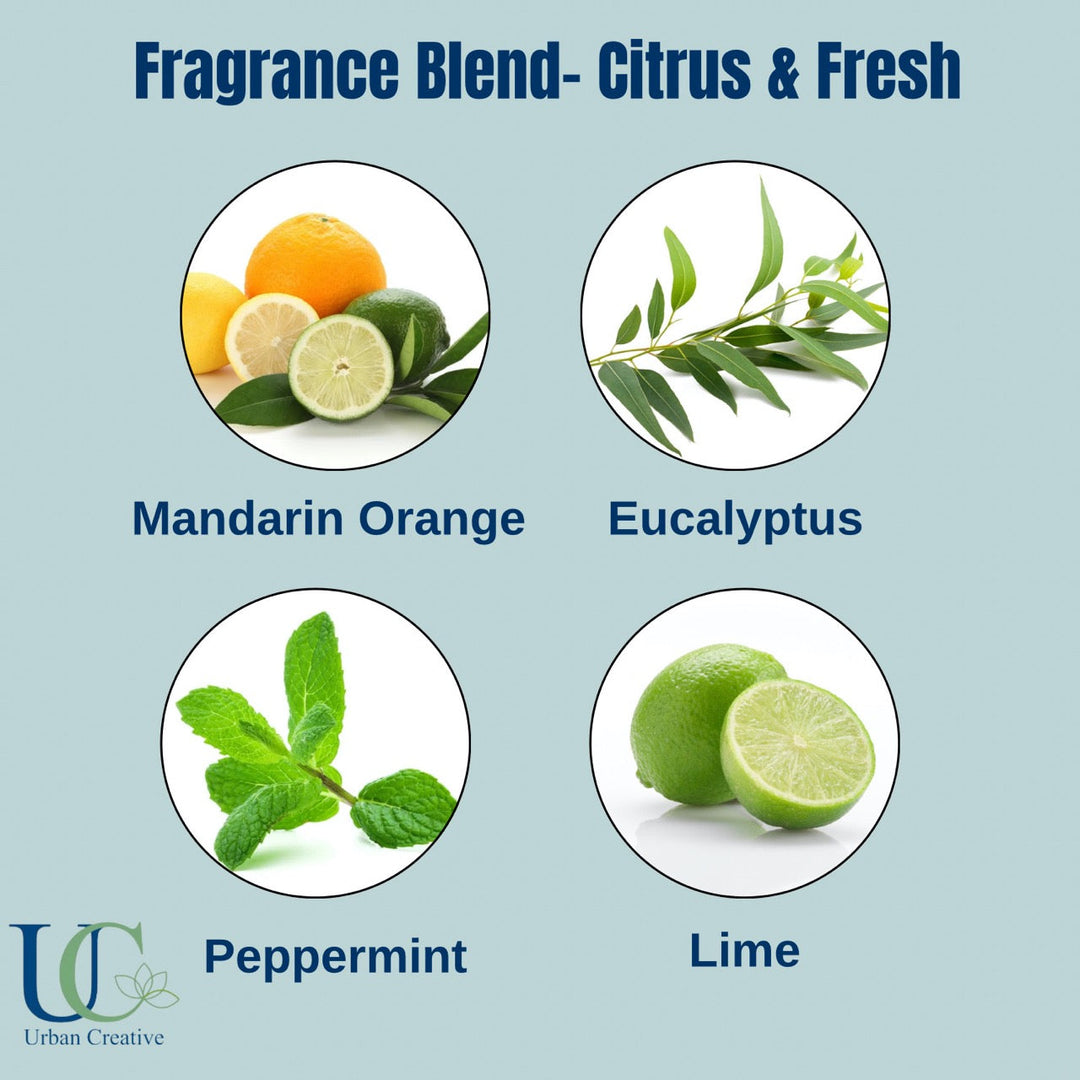 Orange, Peppermint & Eucalyptus -Fresh and Uplifting Citrus Fragrance Wax Tablet