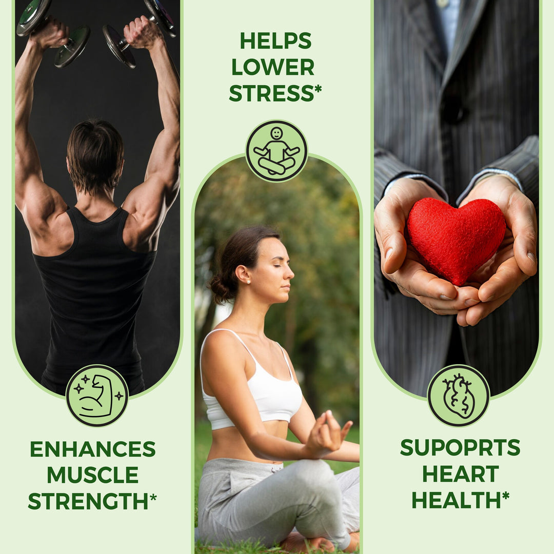 Organic Ashwagandha Tablets 120 Count | Stress Relief, Sleep & Vitality
