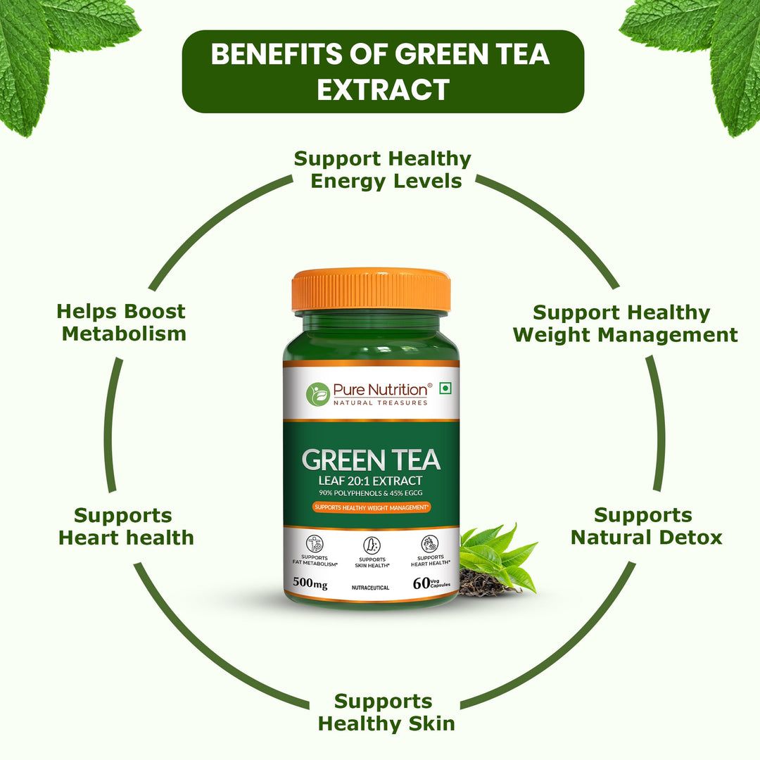 Green Tea Leaf Extract 500mg – 20:1 Concentrate | Antioxidant & Metabolism